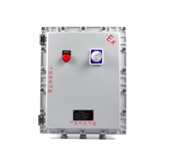 500X600X200粉塵防爆接線箱 防爆監控模塊箱