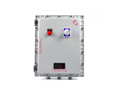 500X600X200粉塵防爆接線箱 防爆監控模塊箱